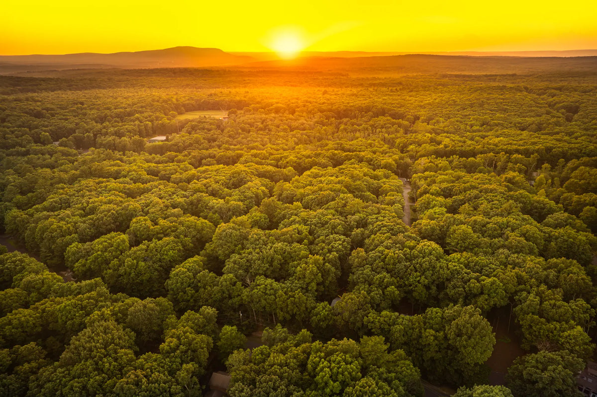 Airbnb Photography in East Stroudsburg, PA | Wooded Twilight Retreat