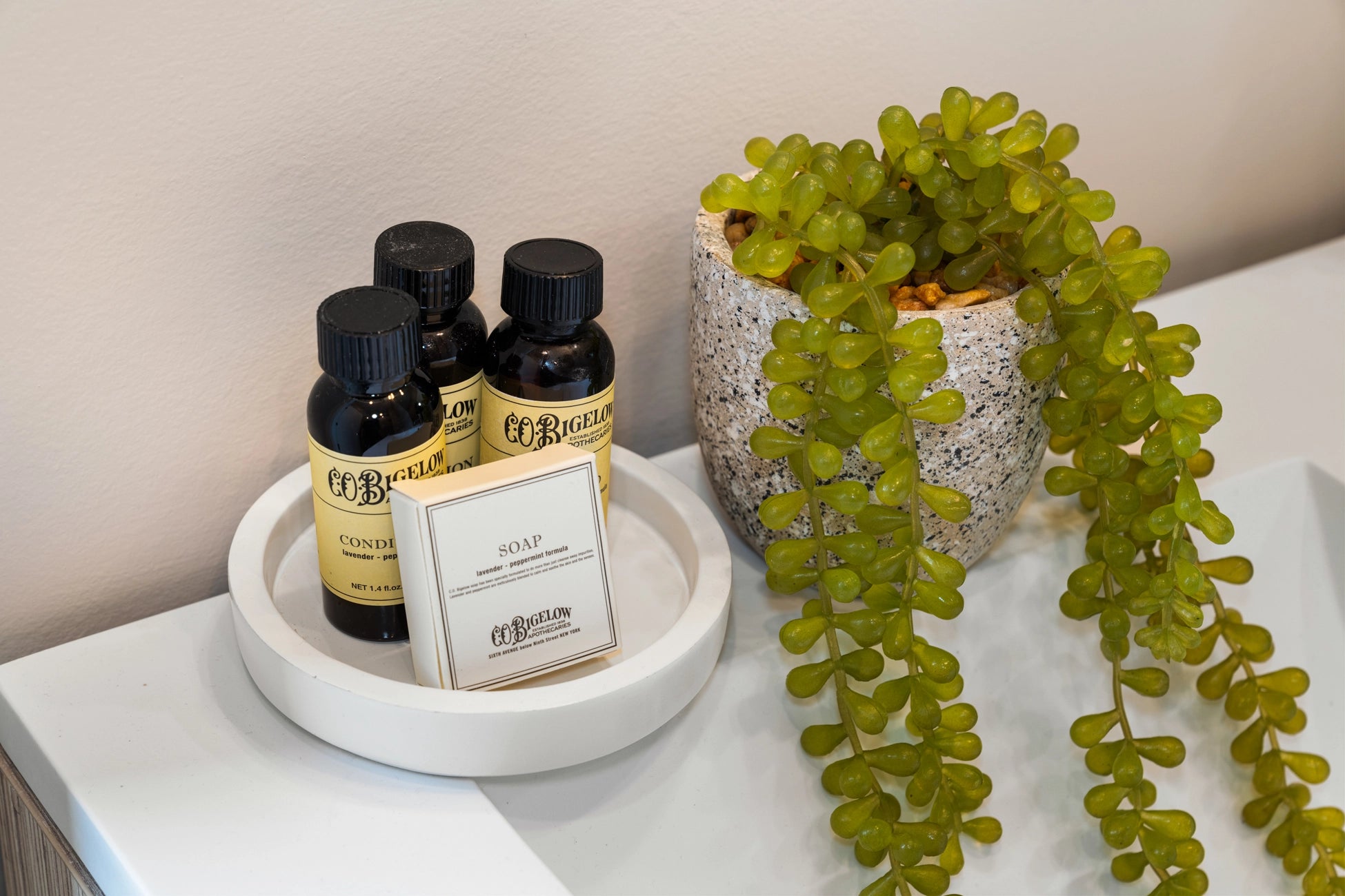 Airbnb Photography: The Edison | Philadelphia