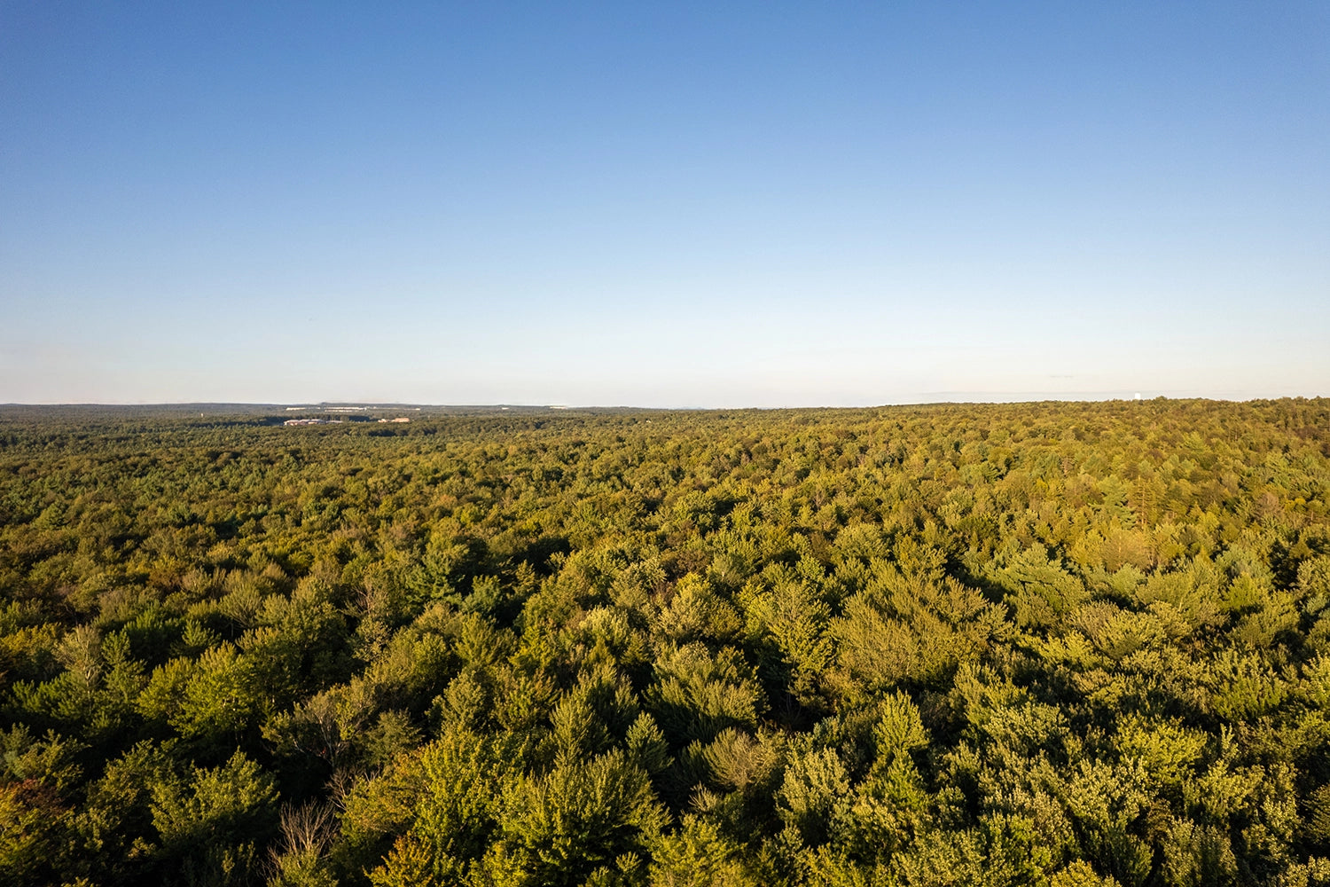 Aerial Airbnb Photography (Add-on)