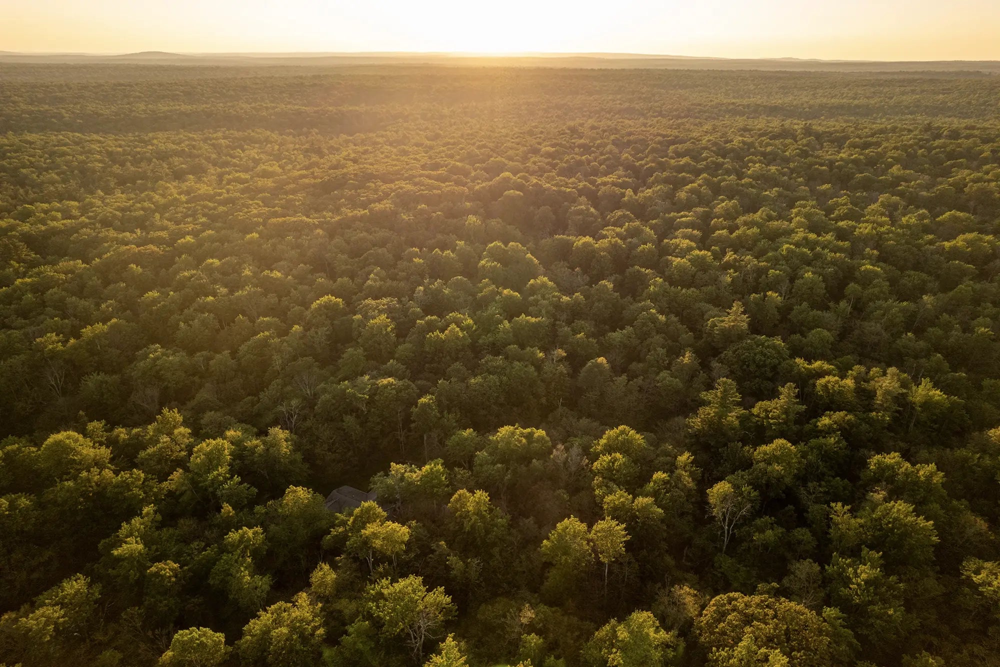 Aerial Airbnb Photography (Add-on)