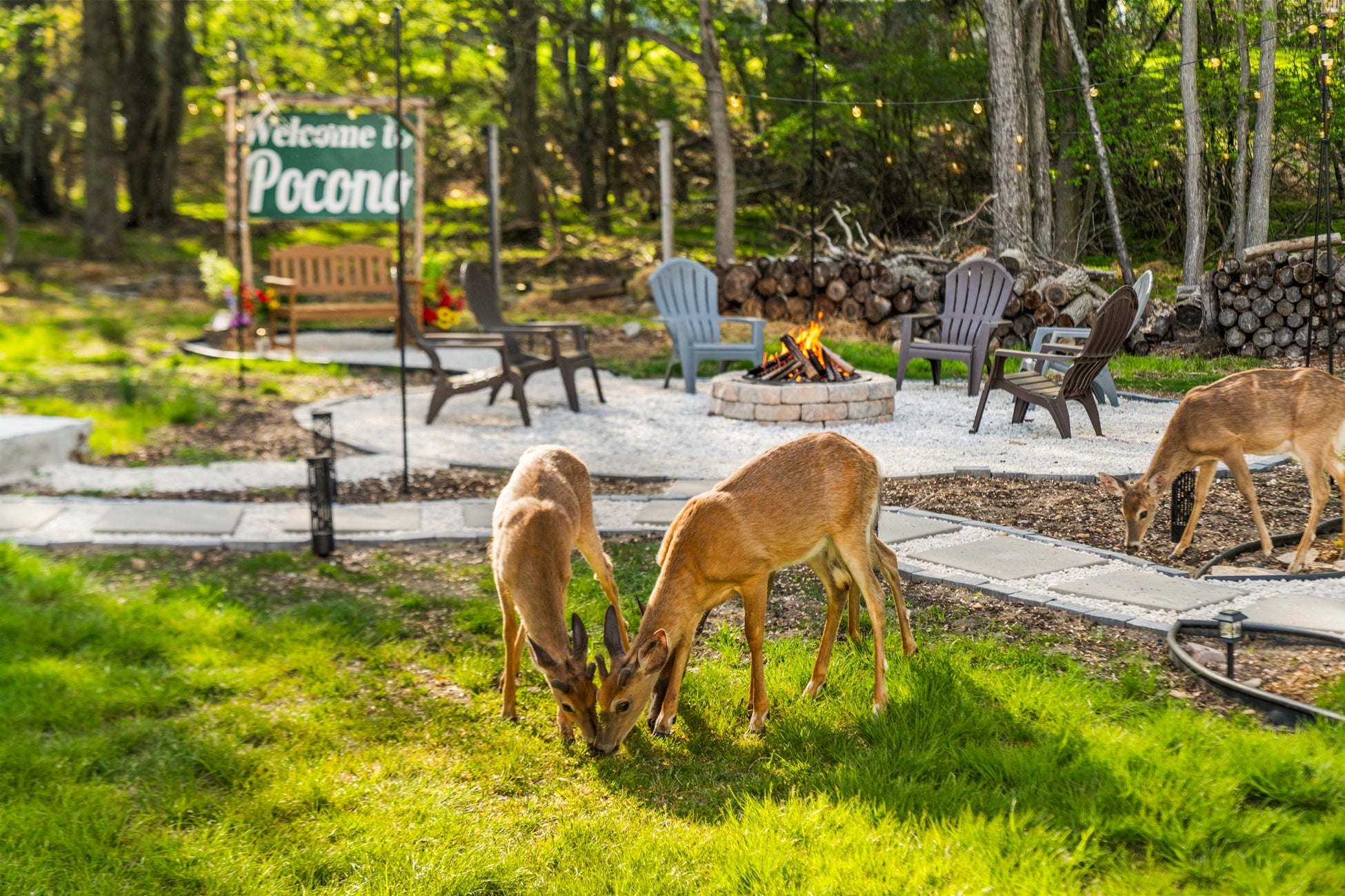 Airbnb Photography in Long Pond, PA | Twilight Backyard Retreat